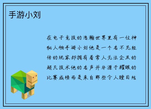 手游小刘