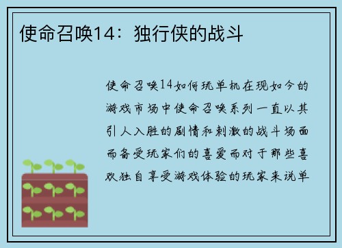使命召唤14：独行侠的战斗